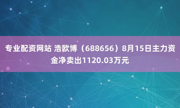 专业配资网站 浩欧博(688656)8月15日主力资金净卖出1120.03万元
