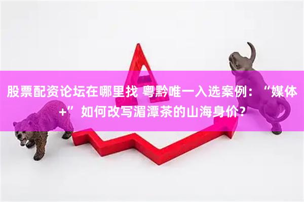 股票配资论坛在哪里找 粤黔唯一入选案例：“媒体+” 如何改写湄潭茶的山海身价？